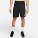 Шорты мужские черные NIKE DRI-FIT BLACK DD1887-010 DD1887-010 S фото 1